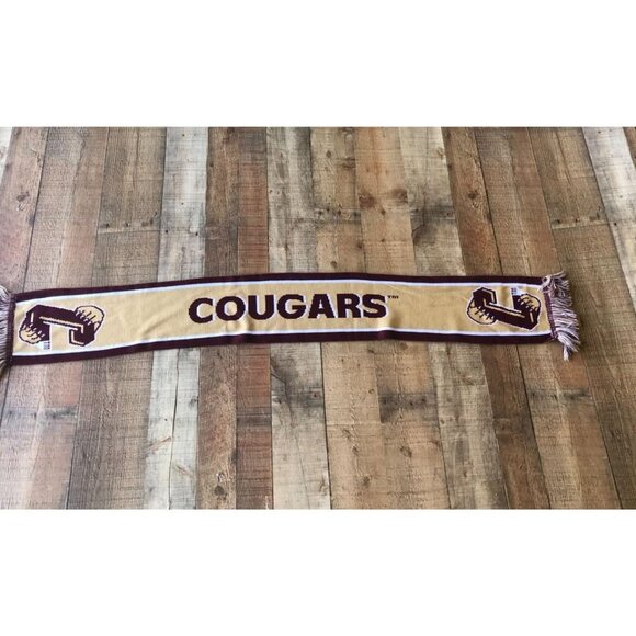 College of Charleston CofC Cougars Fringed Scarf - Picture 2 of 3